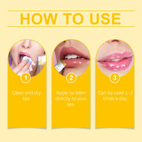 Lemon/Ginger Lip Balm